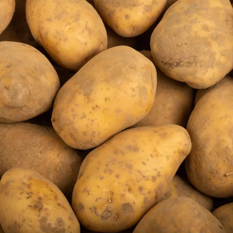 POMME DE TERRE CHAIR FERME BIO - DESCLICS PAYSAN, LE GOÛT DU BIO SOLIDAIRE PRÈS DE CHEZ VOUS