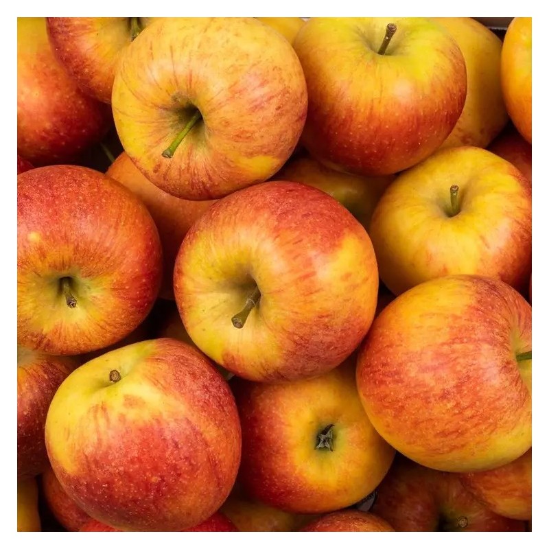 POMME CRIMSON BIO - DESCLICS PAYSAN, LE GOÛT DU BIO SOLIDAIRE PRÈS DE CHEZ VOUS