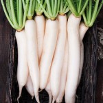DAIKON BIO - DESCLICS PAYSAN, LE GOÛT DU BIO SOLIDAIRE PRÈS DE CHEZ VOUS