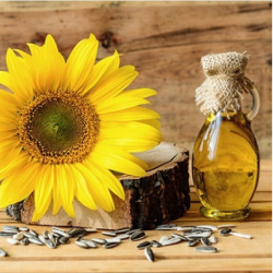 HUILE DE TOURNESOL BIO - DESCLICS PAYSAN, LE GOÛT DU BIO SOLIDAIRE PRÈS DE CHEZ VOUS