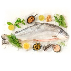 PORTION DE TRUITE ARC EN CIEL SAUMONÉE LOCAL   - DESCLICS PAYSAN, LE GOÛT DU BIO SOLIDAIRE PRÈS DE CHEZ VOUS