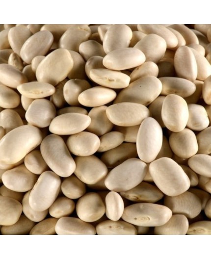HARICOTS BLANCS BIO - DESCLICS PAYSAN, LE GOÛT DU BIO SOLIDAIRE PRÈS DE CHEZ VOUS