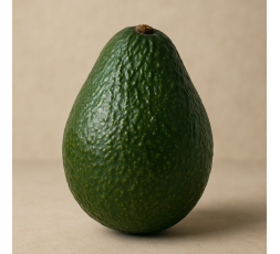 AVOCAT BIO - DESCLICS PAYSAN, LE GOÛT DU BIO SOLIDAIRE PRÈS DE CHEZ VOUS