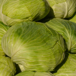 CHOU VERT BIO - DESCLICS PAYSAN, LE GOÛT DU BIO SOLIDAIRE PRÈS DE CHEZ VOUS