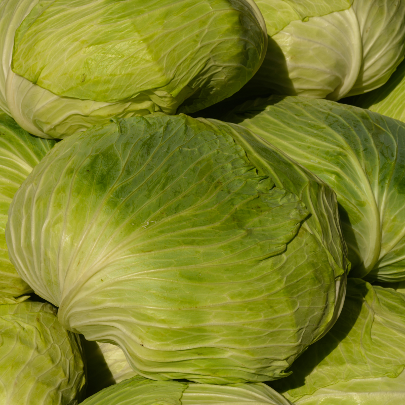 CHOU VERT BIO - DESCLICS PAYSAN, LE GOÛT DU BIO SOLIDAIRE PRÈS DE CHEZ VOUS