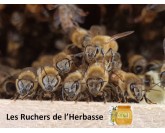 LES RUCHERS DE L'HERBASSE