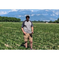 TERRE FERME SOJA